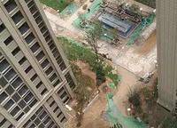 阳光城丽景湾 阳光城丽景湾